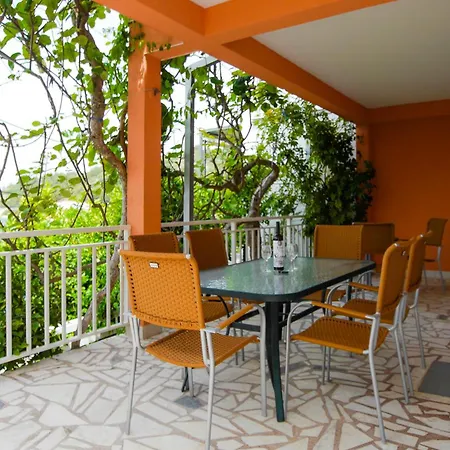 Lemon Tree