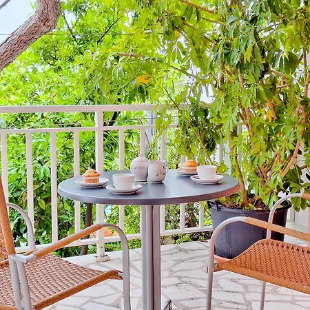 Lemon Tree * Podaca