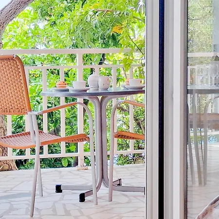 Apartment Lemon Tree