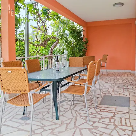 Lemon Tree