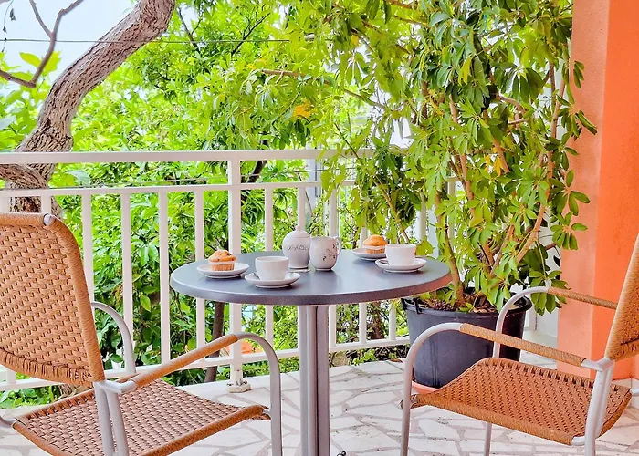 Lemon Tree * Podaca